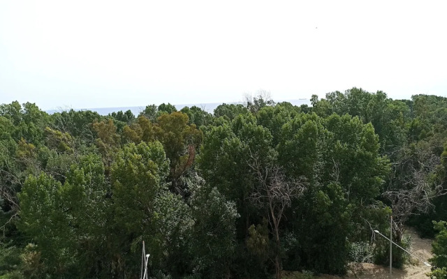 Studio Sea View in Durres Plazh