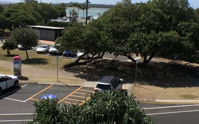 The Dunes Cotton Tree