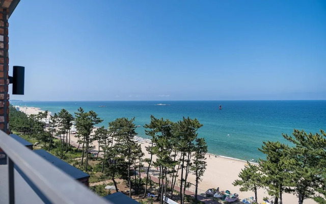 Gangneung Brown Dot Gangneung Gyeongpo