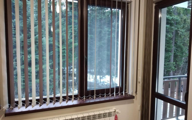 Borovets Gardens apartment A20