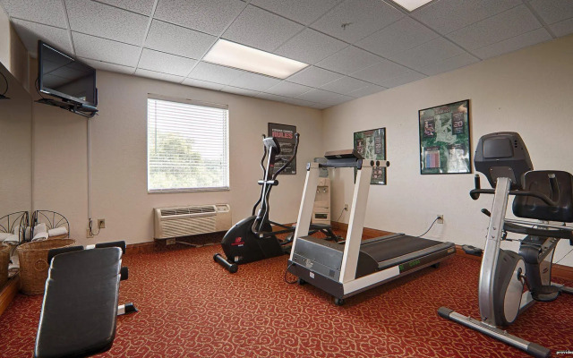 Best Western Tampa