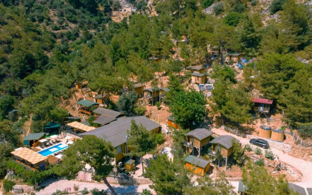 Tree House Otel