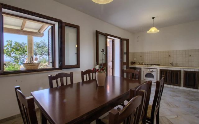 Pino Amazing Seaview