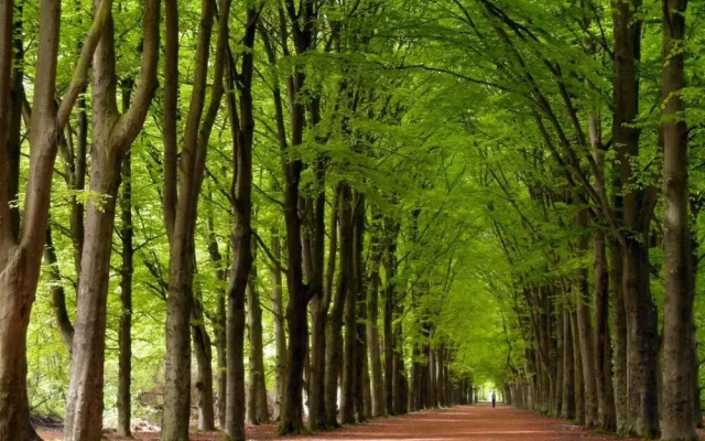 Luxorious Villa s for 22 Persons