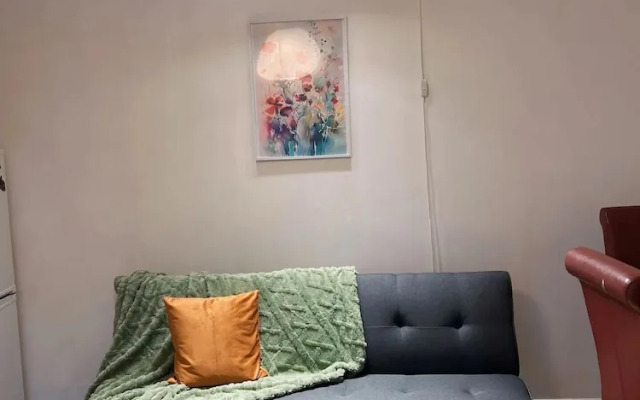 Cozy London Apartment - Central Location
