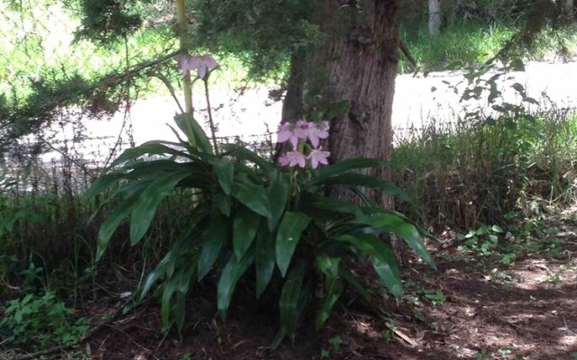 Room-cozy Studio With Heating Near San C