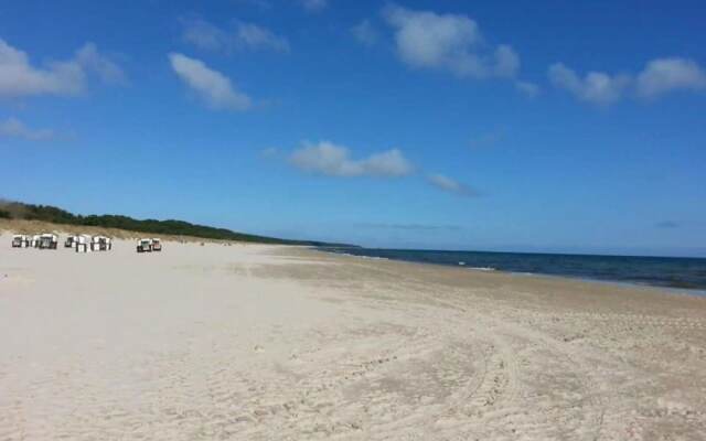 Beach Dune 18 on the Beach