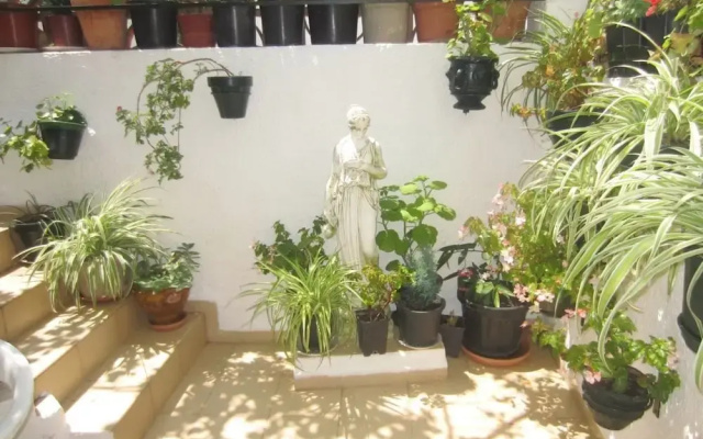Apartamento Económico en el Casco Antiguo - 3006
