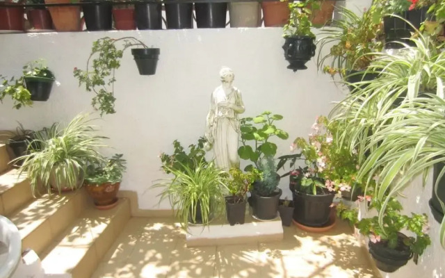 Apartamento Económico en el Casco Antiguo - 3006