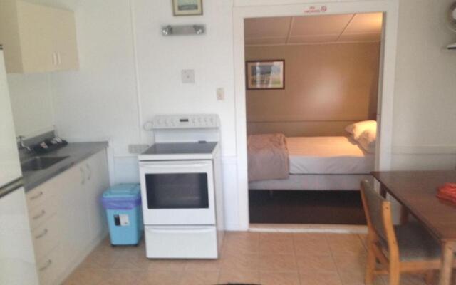 Whitianga Campground