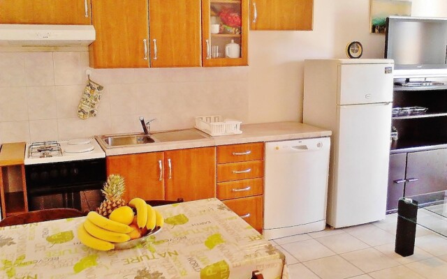 Apartments Rudan 253