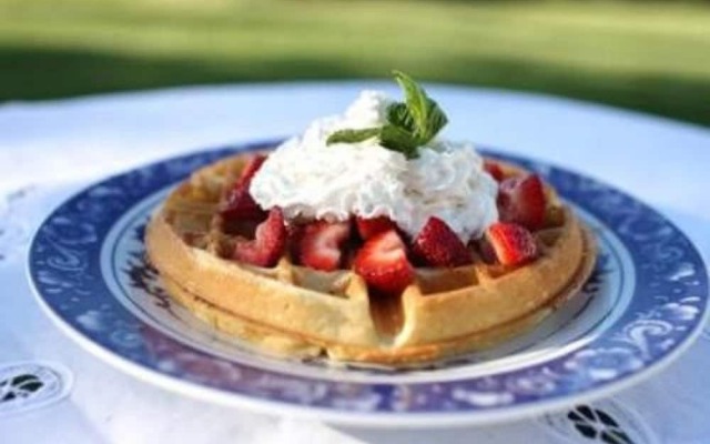 Chestnut Hill Bed and Breakfast