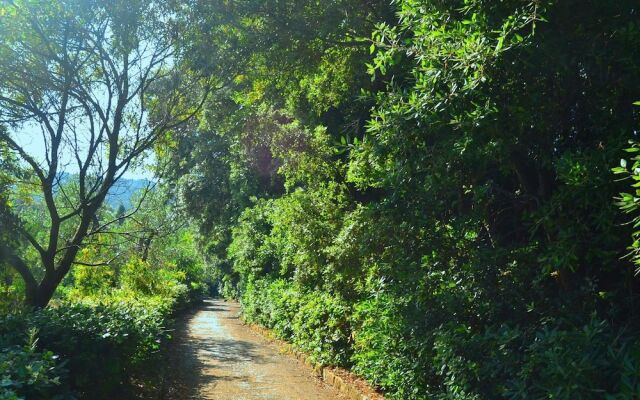 Beautifully Situated Detached Cottage With View On And Private Access To The Sea