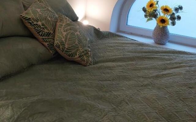 Apartament M Vatra Dornei