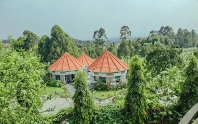 Ahaka cottages