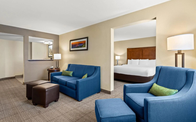 Comfort Inn & Suites Albuquerque Downtown - фото 4