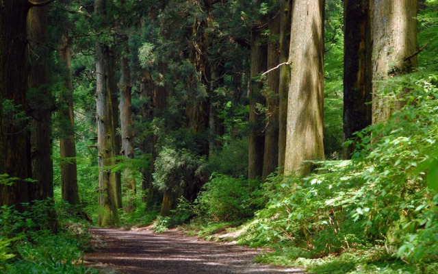 Hakone En Lakeside Annex