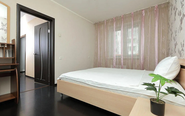 Vgosti на улице Алексеева 113