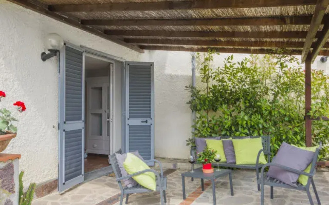 Locazione turistica Olivo