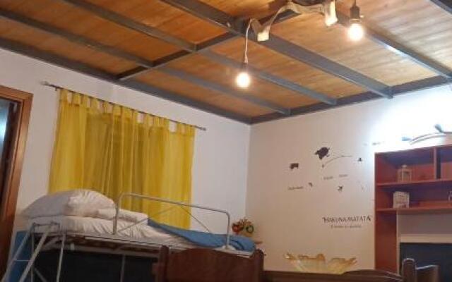 Hakuna Matata ,grazioso appartamento in centro