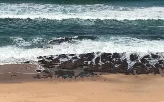 Beach Forest Lodge