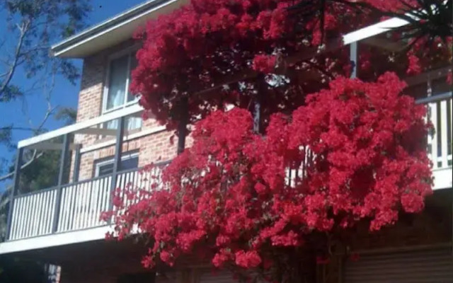 Linley House