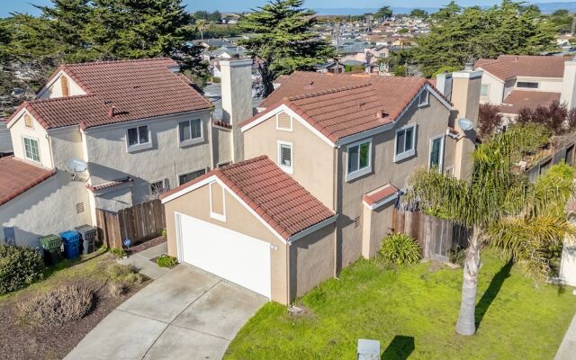 Succulents & Seashells Coastal Paradise by Beach