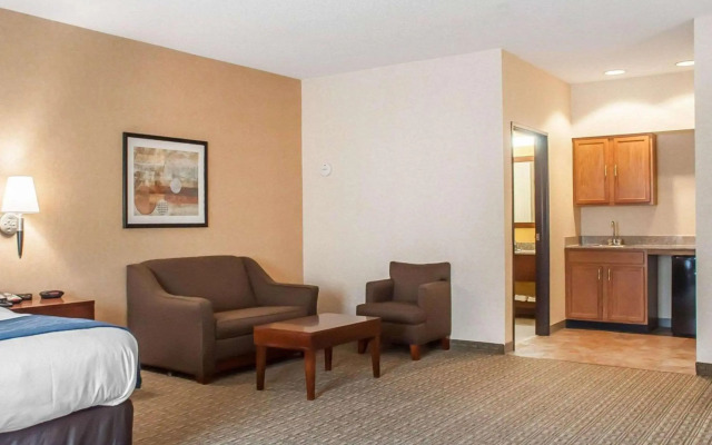 Comfort Inn And Suites Hamburg
