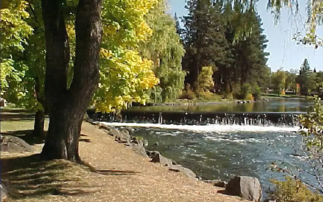Pioneer Park Rentals