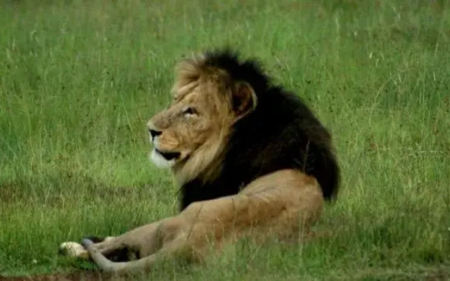 Wild Ivory Eco Lodge - All Inclusive