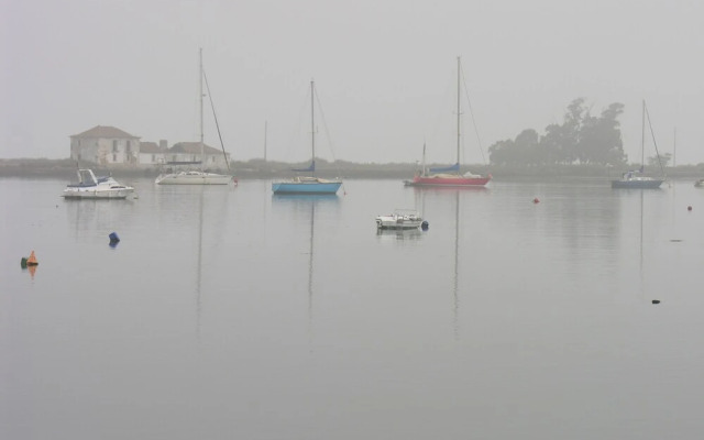 The Boat