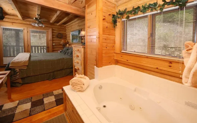 Smoky Cascades 1 Br cabin by RedAwning