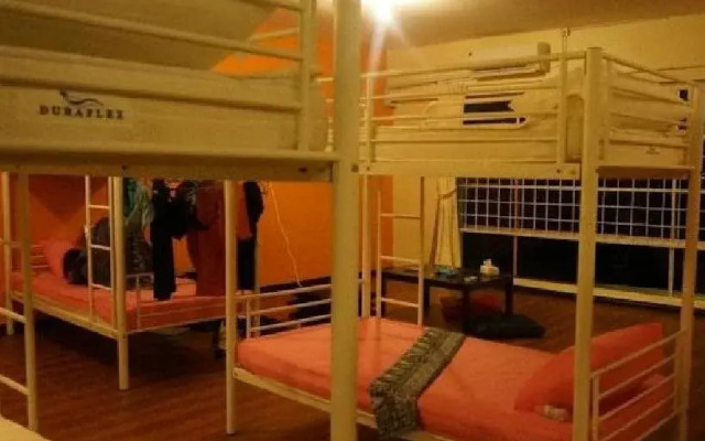 Best Bunk Beds Lodge