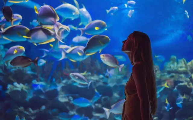 Le Suffren Hotel & Marina