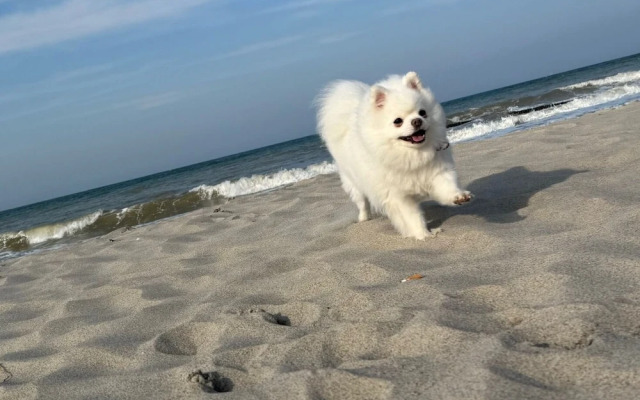 Hotelpension Windflüchter