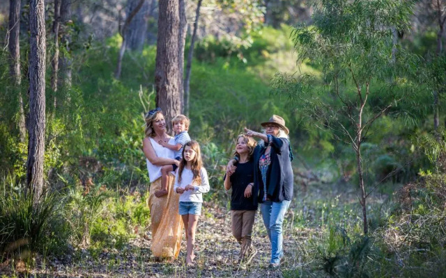 Redgate Forest Retreat