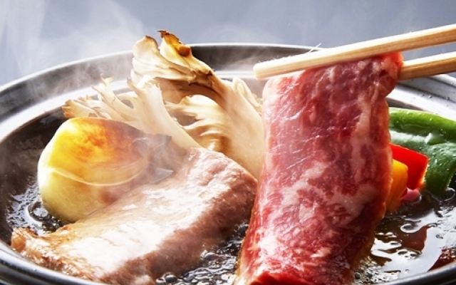 Yunokoya Onsen Hito no Yado Ryudo