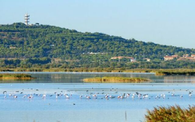 Les Marines du Cap 14669