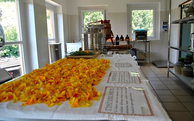 Ca' Dei Fazzilisti