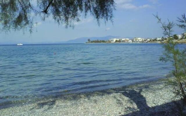 Orizontes Suites XL