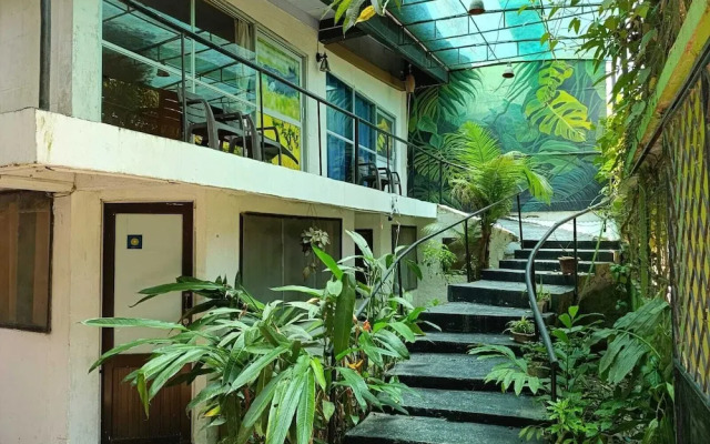 Amazonas Explorers Leticia