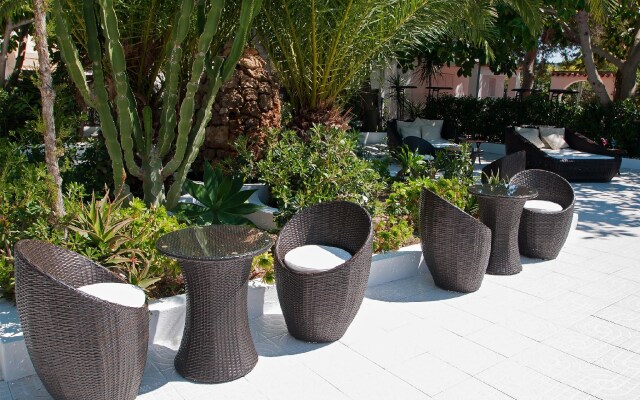 Sunset Oasis Ibiza- Adults Only