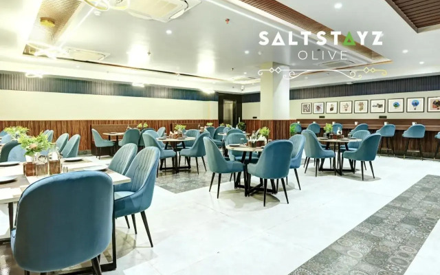 Saltstayz Select - Pitampura