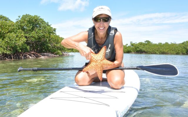 Green Turtle Club Resort & Marina