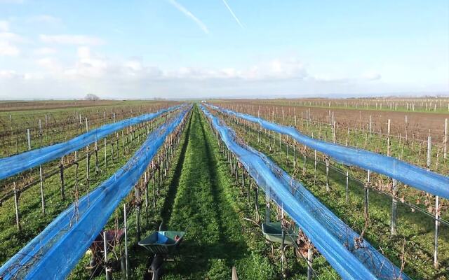 Hotel Weingut Rosenhof