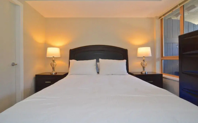 Whistler Blackcomb VR at Tyndall Stone