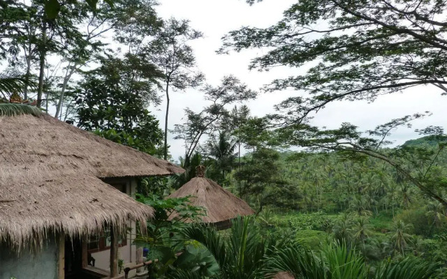 Green Spirit Villa