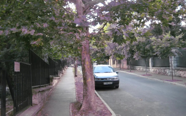 Platán apartman