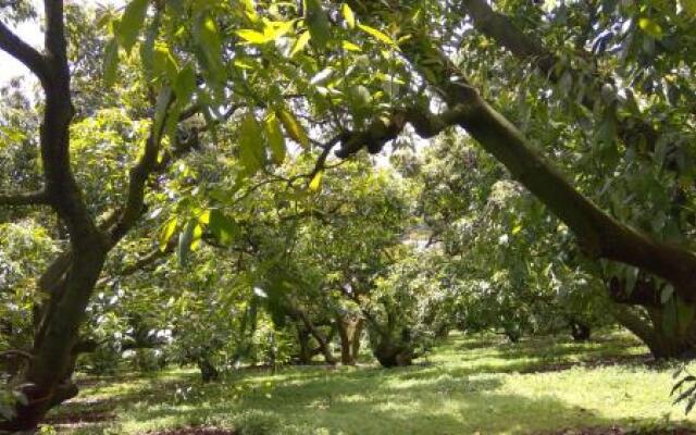 The French Quarter Bed and Breakfast in Katikati