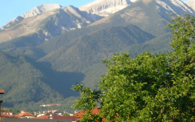 Hotel Bisser